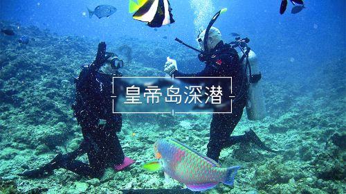 关键裁判不给犯规！CBA最佳教练花式吐槽，裁判这锅又要背上了